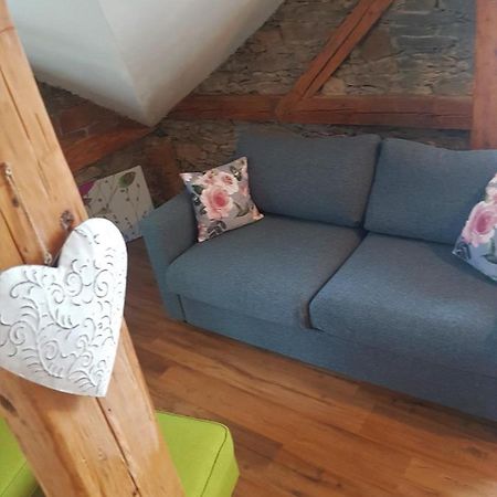 Apartmán Červenka Hartmanice  Exteriér fotografie